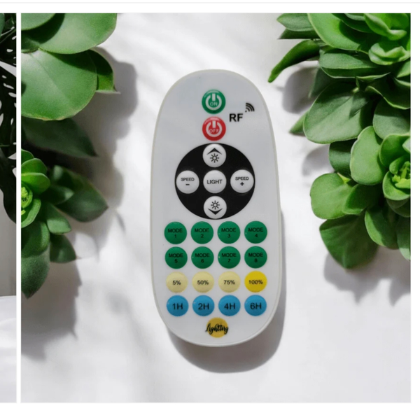 "Super Festoon" Outdoor Dimmer Unit with Remote Control